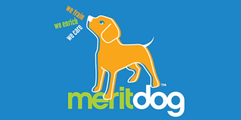 MeritDog Training & Services