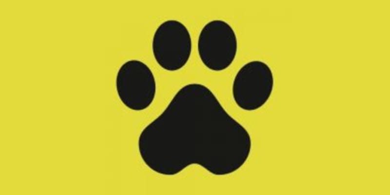 Broken Arrow Pet Resort & Spa