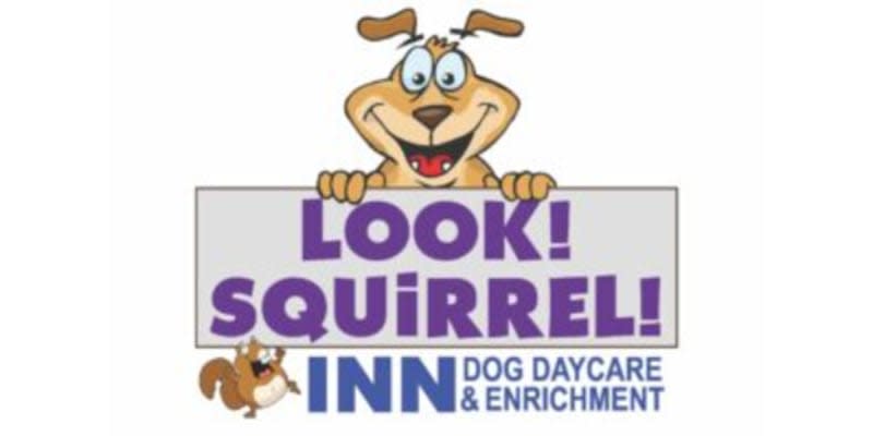 Look! Squirrel! Inn