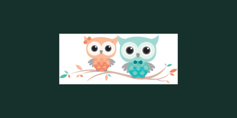 Owl Always Daycare