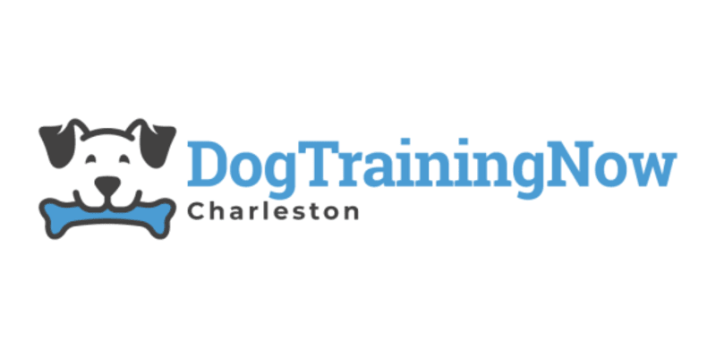 Dog Training Now Charleston