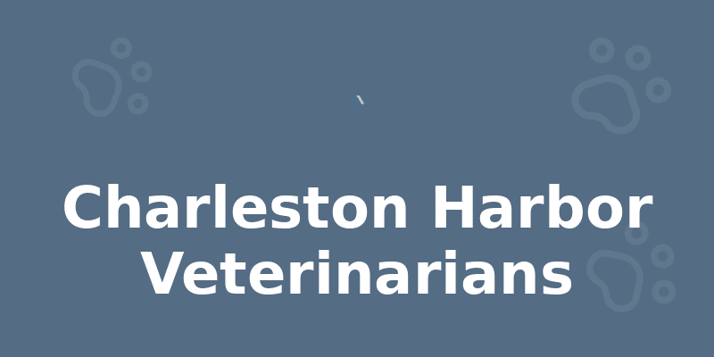 Charleston Harbor Veterinarians