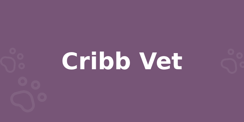 Cribb Vet