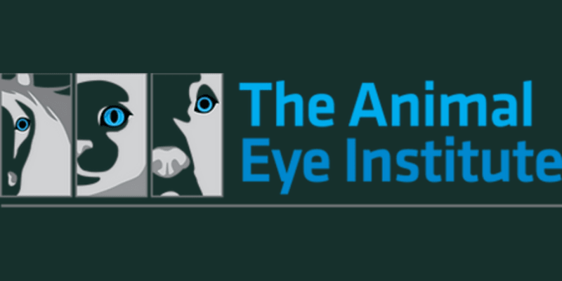 Animal Eye Institute