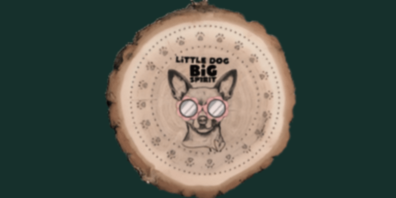 Little Dog Big Spirit