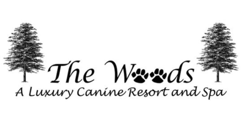 The Woods A Luxury Canine Resort and Spa