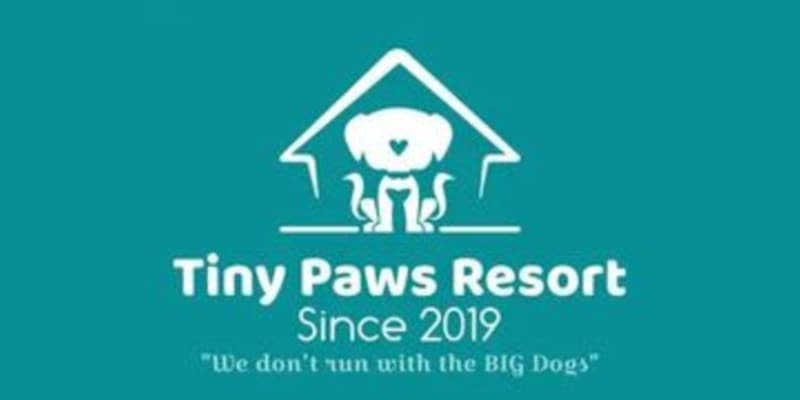 Tiny Paws Resort, LLC