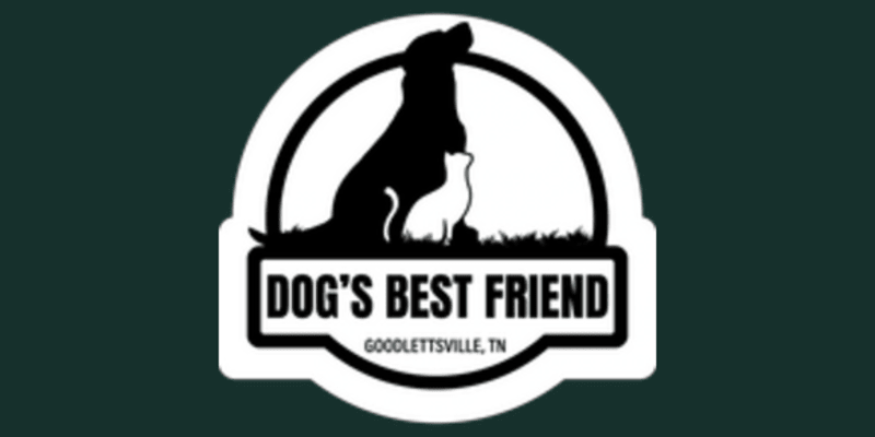 Dog's Best Friend