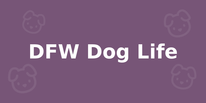 DFW Dog Life