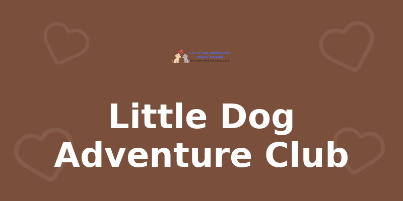 Little Dog Adventure Club