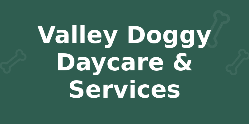 Valley Doggy Daycare & Services