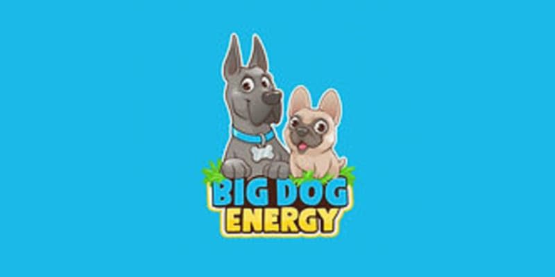 Big Dog Energy