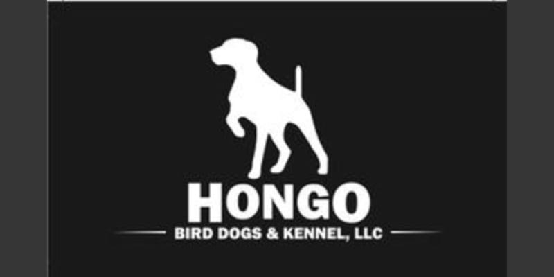 Hongo Bird Dogs & Kennel, LLC