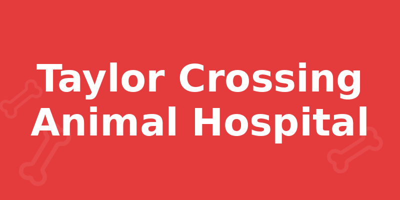 Taylor Crossing Animal Hospital - Dog Kennel in Montgomery, AL