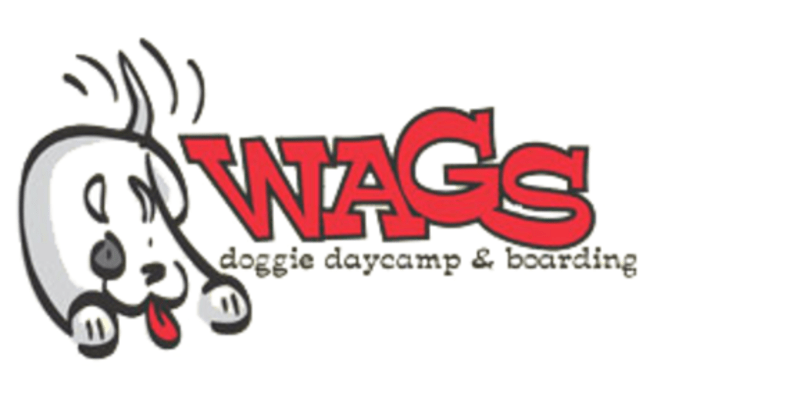 Wags Doggie Daycamp & Boarding