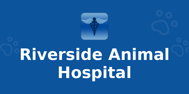 Riverside Animal Hospital - Dog Kennel in Macon, GA