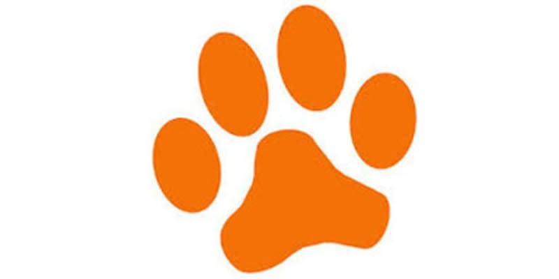 Gray's K-9 Academy