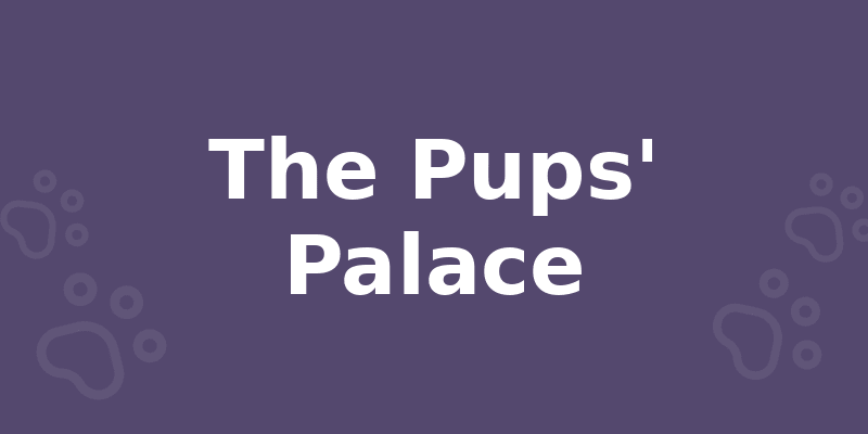 The Pups' Palace