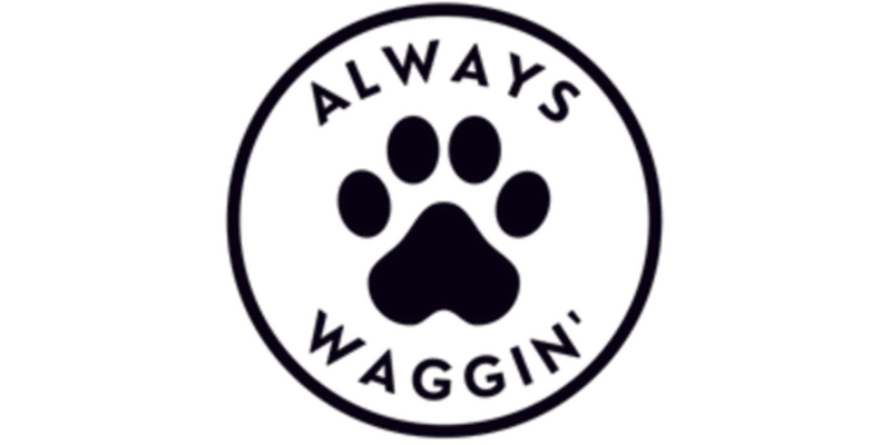 Always Waggin' Boarding Kennel