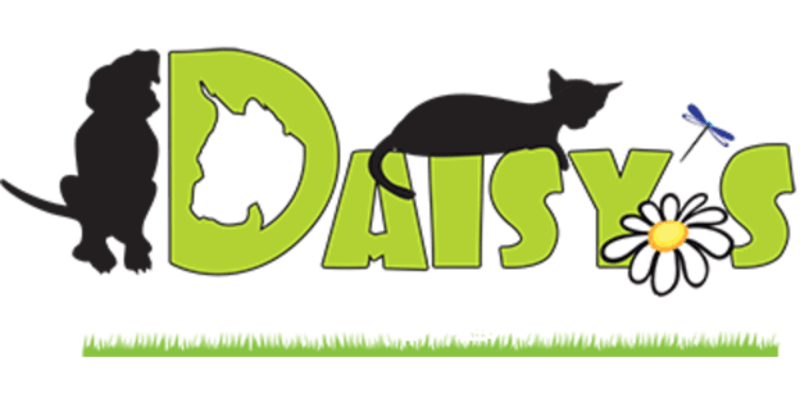 Daisy's Pet Playground