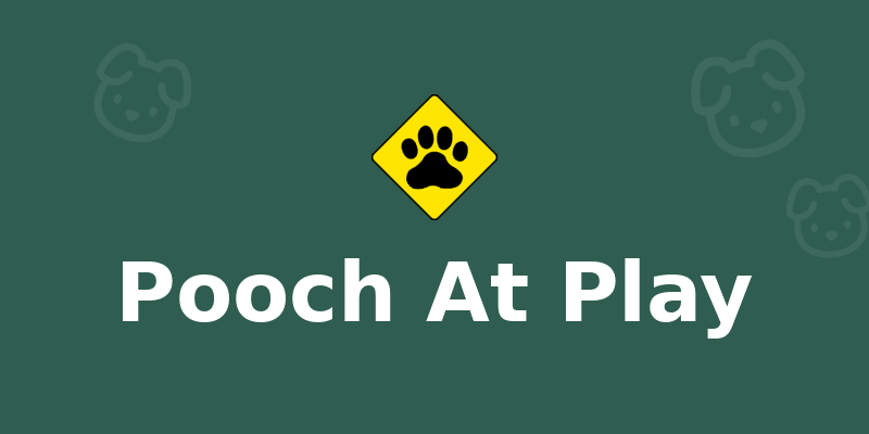 Pooch At Play