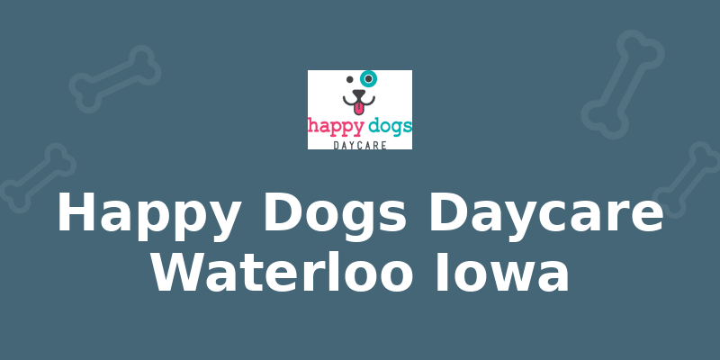 Happy Dogs Daycare Waterloo Iowa