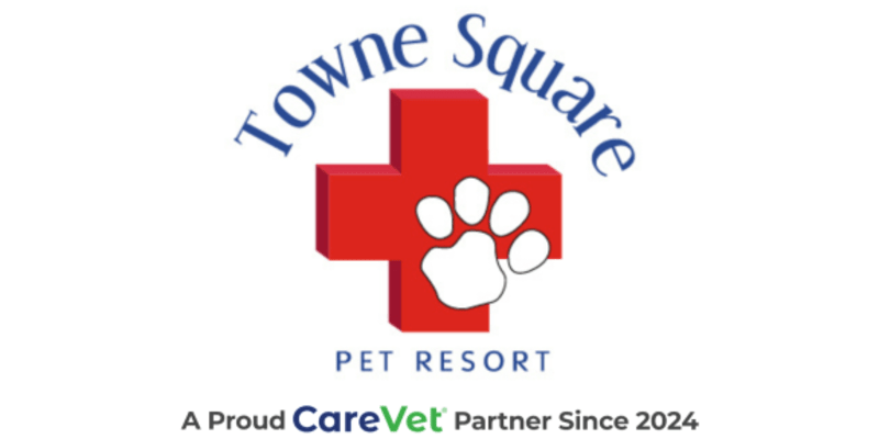 Towne Square Pet Resort