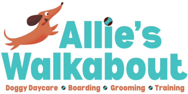 Allie's Walkabout