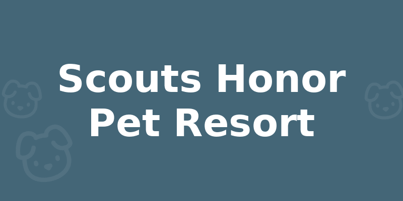 Scouts Honor Pet Resort