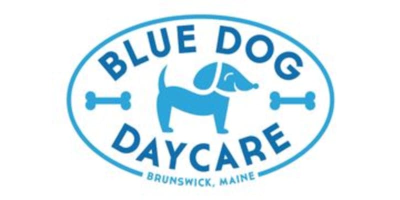 Blue Dog Daycare