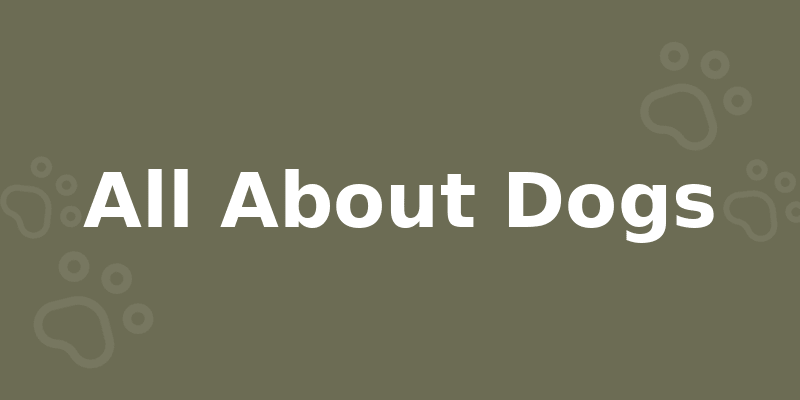 All About Dogs