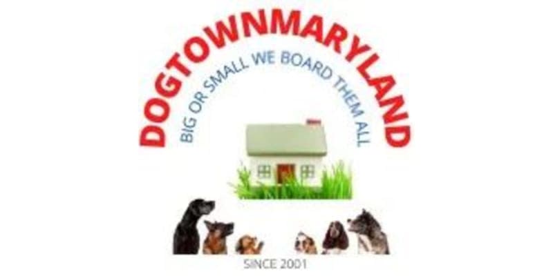 Dogtown Maryland