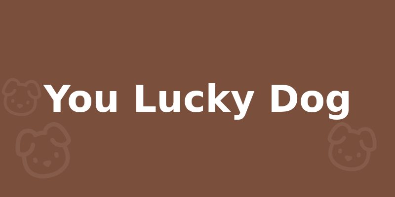You Lucky Dog