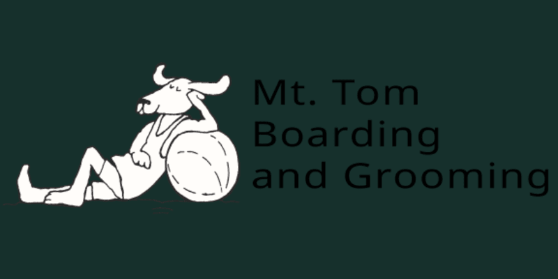 Mt. Tom Boarding and Grooming