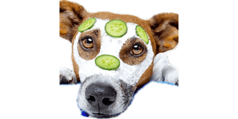 2 Peas In A Pod Pet Care
