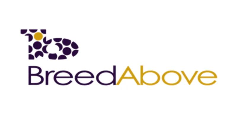 BreedAbove