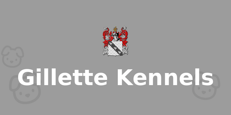 Gillette Kennels