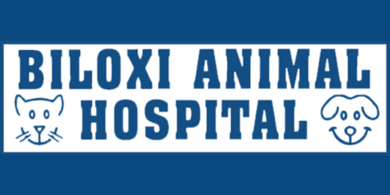 Biloxi Animal Hospital