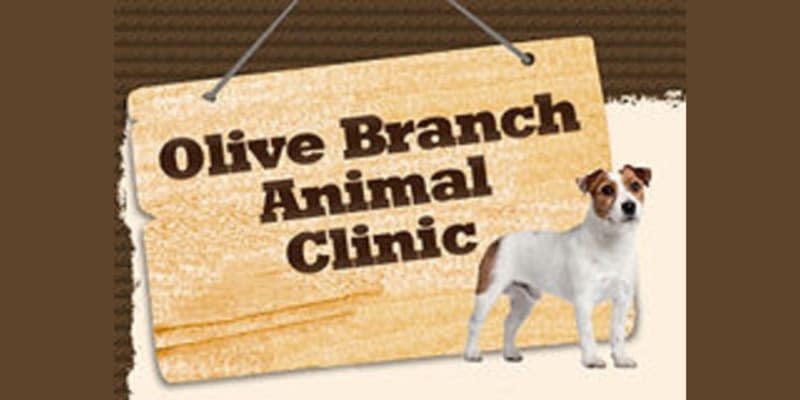 Olive Branch Animal Clinic