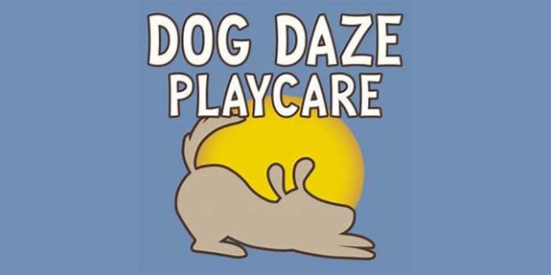 Dog Daze Playcare
