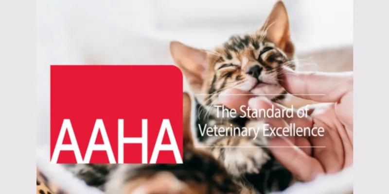Hidden Valley Animal Hospital