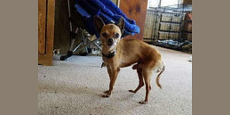 Bean's Senior Care