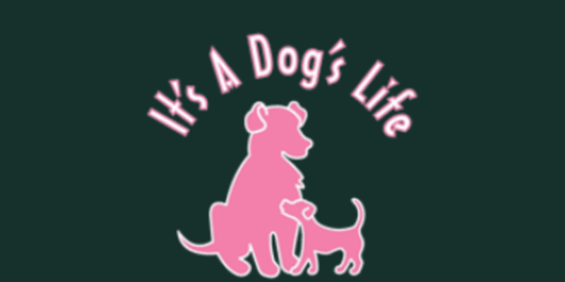 It's a Dog's Life NY