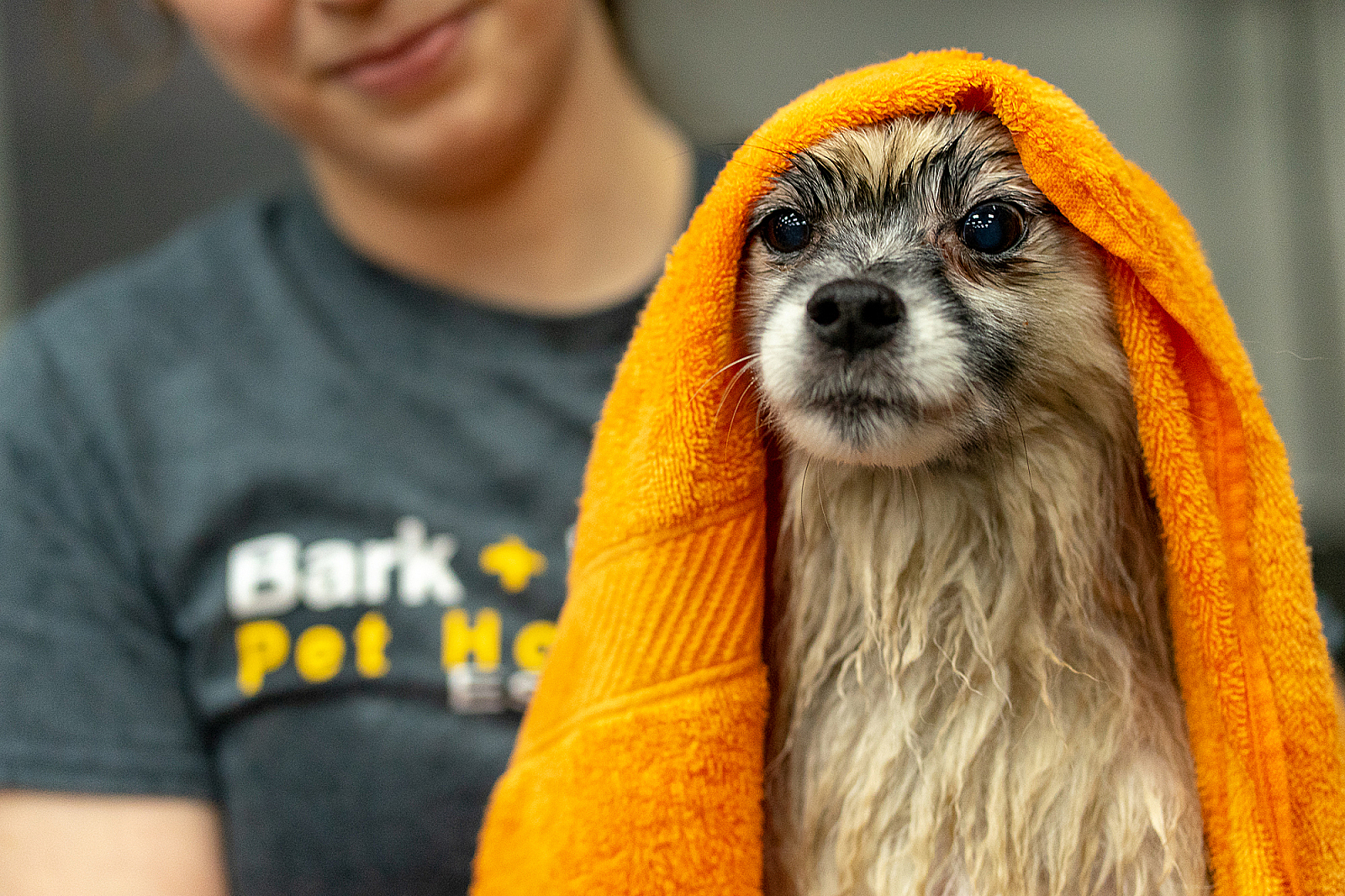 Bark + Boarding - Image 1
