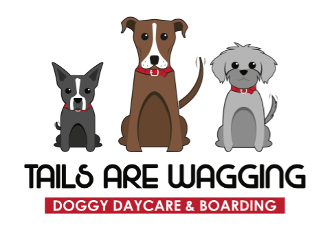 Tails Are Wagging