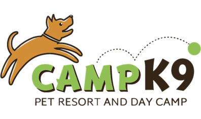 Camp K9 Pet Resort & Day Camp