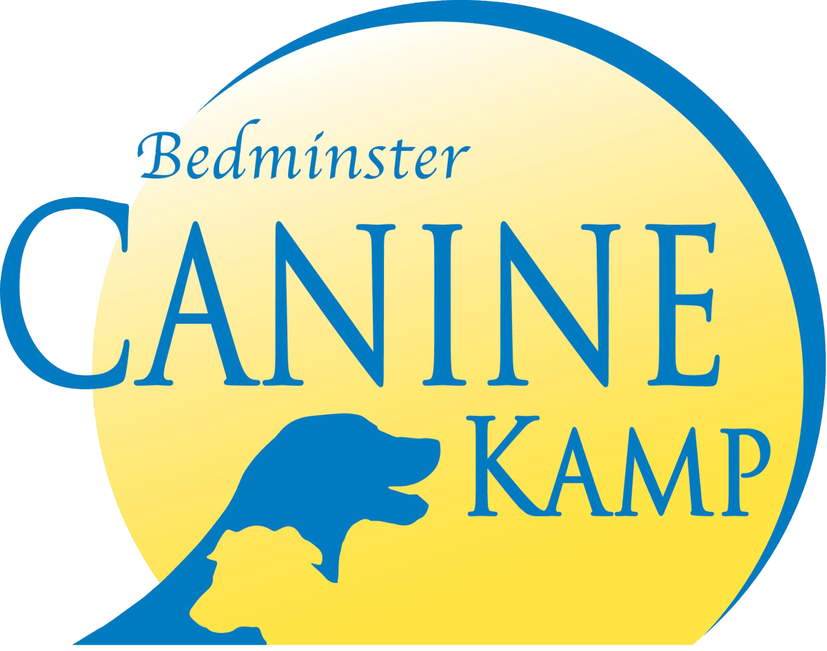 Bedminster Canine Kamp
