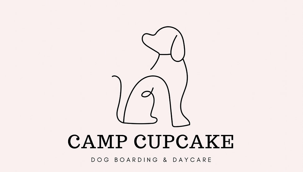 Camp Cupcake