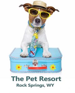 The Pet Resort At Sweetwater Stables