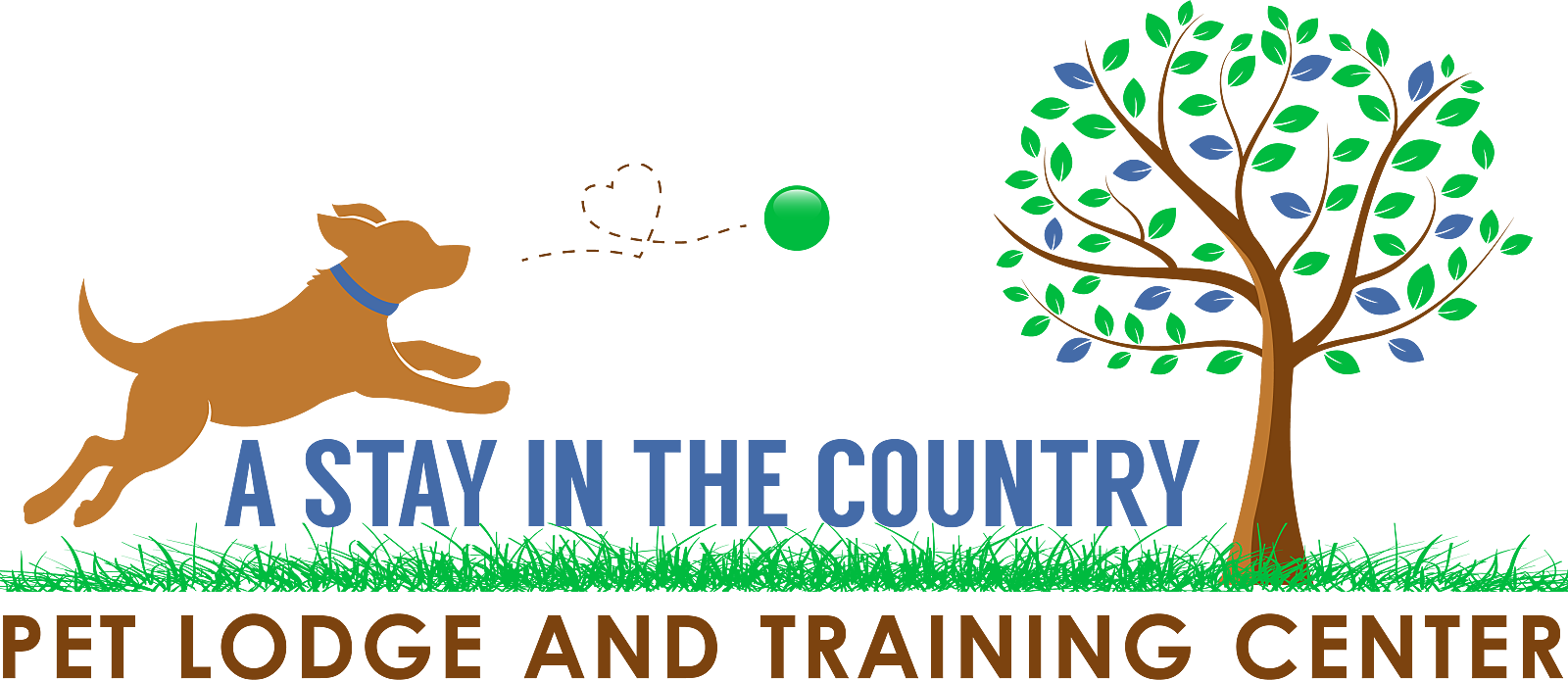 A Stay in the Country Pet Lodge & Training Center